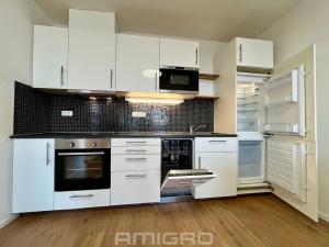 Pronájem bytu 2+kk, Brno, Vídeňská, 54 m2