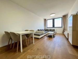 Pronájem bytu 2+kk, Brno, Vídeňská, 54 m2