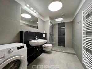 Pronájem bytu 2+kk, Brno, Vídeňská, 54 m2