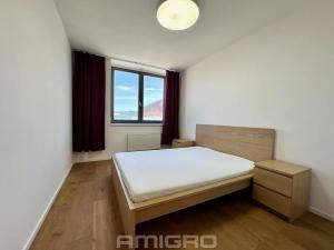 Pronájem bytu 2+kk, Brno, Vídeňská, 54 m2