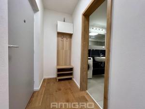 Pronájem bytu 2+kk, Brno, Vídeňská, 54 m2