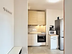 Pronájem bytu 2+kk, Praha - Karlín, Peckova, 56 m2