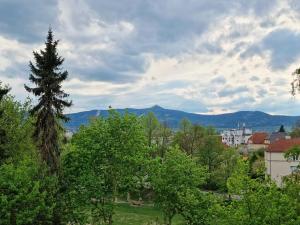 Pronájem bytu 3+1, Liberec, Jaselská, 93 m2