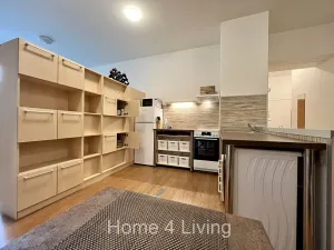 Pronájem bytu 2+kk, Brno, Purkyňova, 74 m2