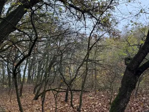 Prodej pozemku, Praha - Nové Město, 9174 m2