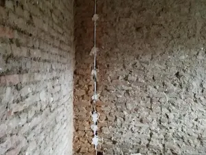 Prodej rodinného domu, Gyulyovtsa, Bulharsko, 100 m2