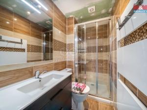 Prodej rodinného domu, Dolní Bělá, 169 m2