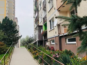 Prodej bytu 1+1, Děčín, Dvořákova, 40 m2
