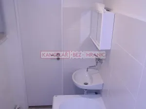 Pronájem bytu 1+1, Český Těšín, Komenského, 31 m2