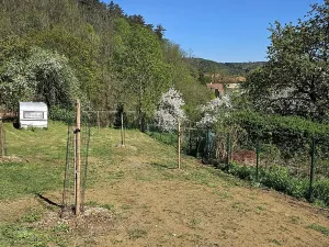 Pronájem pozemku, Županovice, 1057 m2