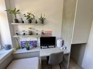 Pronájem bytu 3+kk, České Budějovice, Pekárenská, 61 m2