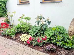 Pronájem bytu 3+kk, České Budějovice, Vl. Rady, 78 m2