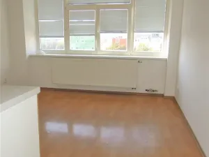 Pronájem bytu 1+kk, Brno, Mendlovo náměstí, 17 m2