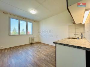 Pronájem bytu 1+1, Klatovy - Klatovy III, Prusíkova, 38 m2