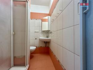 Pronájem bytu 1+1, Klatovy - Klatovy III, Prusíkova, 38 m2