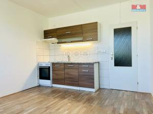 Pronájem bytu 1+1, Klatovy - Klatovy III, Prusíkova, 38 m2