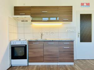Pronájem bytu 1+1, Klatovy - Klatovy III, Prusíkova, 38 m2