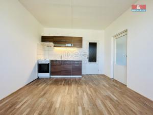 Pronájem bytu 1+1, Klatovy - Klatovy III, Prusíkova, 38 m2