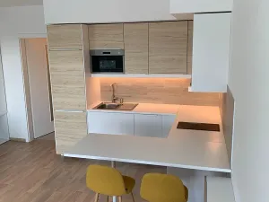 Pronájem bytu 1+kk, Praha - Žižkov, Olgy Havlové, 38 m2