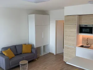 Pronájem bytu 1+kk, Praha - Žižkov, Olgy Havlové, 38 m2