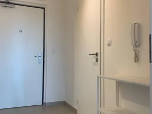 Pronájem bytu 1+kk, Praha - Žižkov, Olgy Havlové, 38 m2