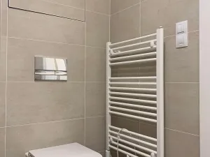 Pronájem bytu 1+kk, Praha - Žižkov, Olgy Havlové, 38 m2