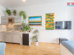 Pronájem bytu 1+kk, Praha - Žižkov, Čajkovského, 27 m2