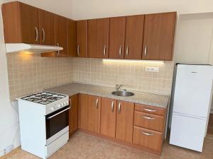 Pronájem bytu 2+kk, Praha - Břevnov, Bělohorská, 60 m2