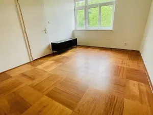 Pronájem bytu 2+1, Brno, Údolní, 64 m2