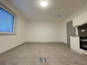Pronájem bytu 1+kk, Nový Bor, Skalická, 33 m2