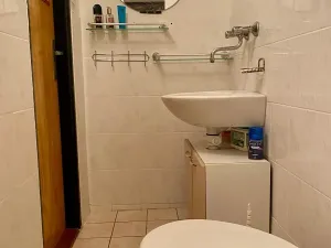 Prodej chaty, Svojšice, 89 m2