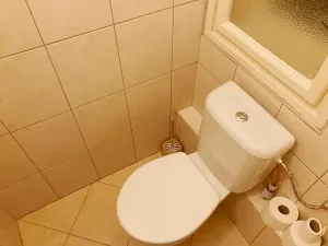 Pronájem bytu 3+1, Ostrava, Denisova, 122 m2