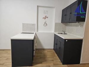 Pronájem bytu 1+kk, Praha - Žižkov, Biskupcova, 23 m2