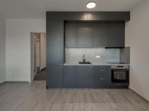 Pronájem bytu 1+kk, Praha - Žižkov, Olgy Havlové, 35 m2