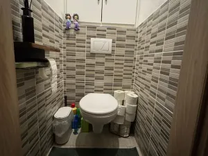 Pronájem bytu 2+1, Ostrava, Vítězná, 52 m2