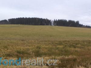 Prodej pole, Horní Planá, 45926 m2