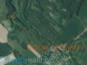 Prodej pozemku, Cizkrajov - Dolní Bolíkov, 3302 m2