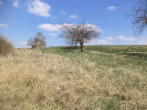 Dražba louky, Pec, 5703 m2
