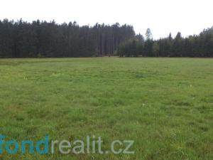 Prodej pozemku, Nová Bystřice, 10628 m2