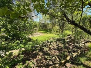 Prodej rodinného domu, Borek, 250 m2