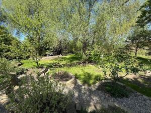 Prodej rodinného domu, Borek, 250 m2