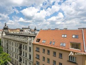 Prodej bytu 6+kk a větší, Brno, Čápkova, 195 m2