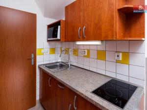 Prodej ubytování, Janské Lázně, Sportovní, 1049 m2