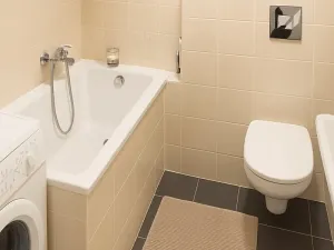 Pronájem bytu 1+kk, Brno, Hrázka, 38 m2