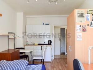 Pronájem bytu 1+kk, Brno, Mezírka, 25 m2