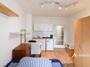 Pronájem bytu 1+kk, Brno, Mezírka, 27 m2