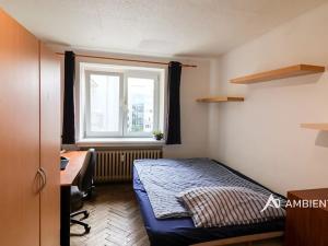 Pronájem bytu 1+kk, Brno, Mezírka, 27 m2