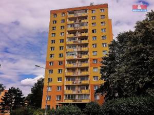Pronájem bytu 1+1, Nový Jičín, Dlouhá, 43 m2