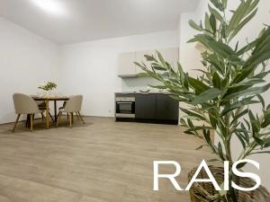Prodej bytu 3+kk, Brno, 61 m2
