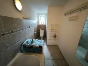Prodej komerční nemovitosti, Sulejovice, Ke Mlýnu, 550 m2